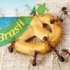 Inseticida Natural/ Biológico para formigas domesticas
