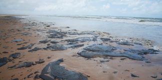 O que se sabe sobre a possibilidade de banho nas praias afetadas pelo óleo no Nordeste