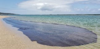 Pernambuco recolhe 1.500 toneladas de óleo nas praias, em 12 dias