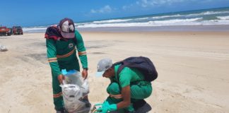 Sobe para 14,5 toneladas quantidade de óleo retirada da Praia do Cumbuco, no Ceará