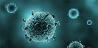 Coronavírus: saiba o que é, e como se prevenir